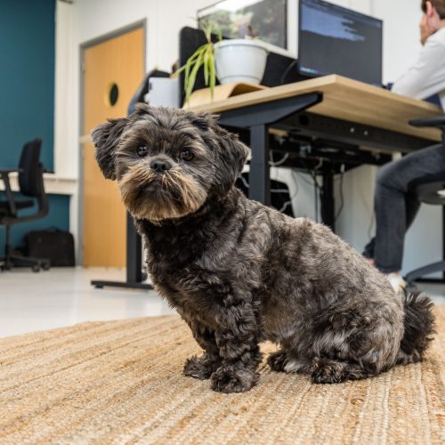 Jasper vd Zwan Fotografie Online E-tales sept 2023-31